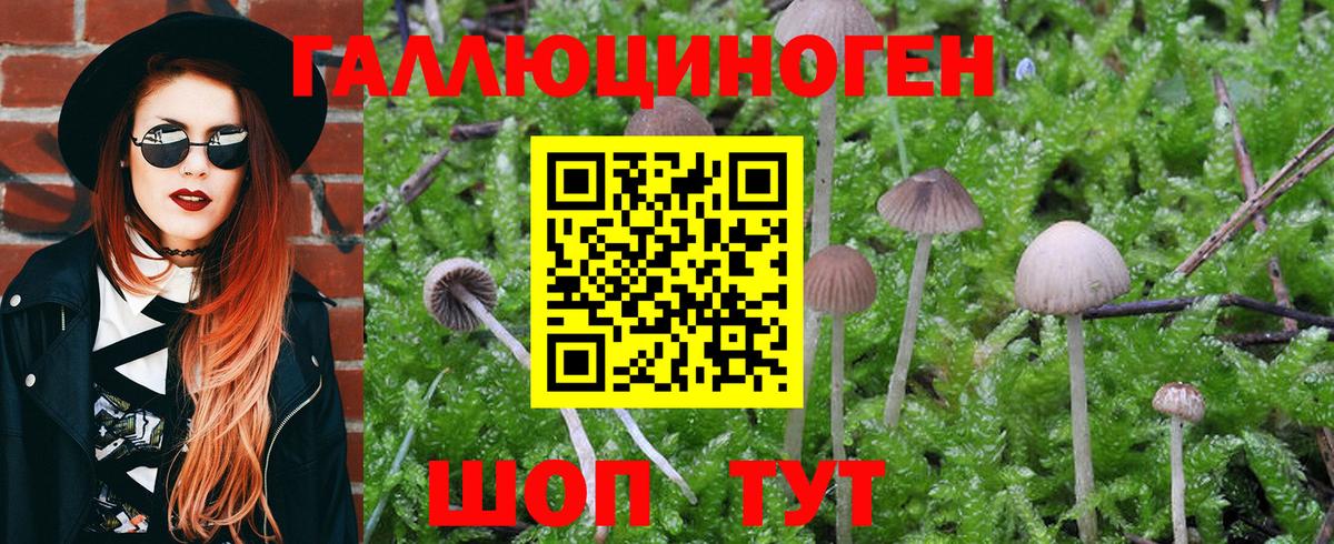 Псилоцибиновые грибы Psilocybine cubensis  Галлюциногенные грибы мухоморы  Вход с VPN  Ставрополь 